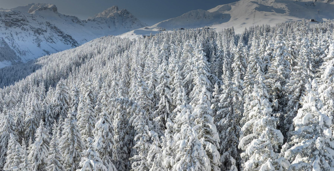 For Rent Suite 3 Bedrooms Hotel Services Courchevel 1850