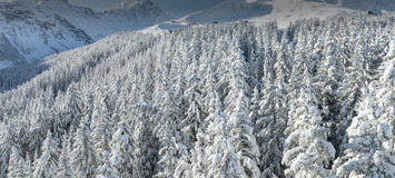 For Rent Suite 3 Bedrooms Hotel Services Courchevel 1850