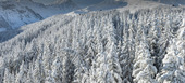 For Rent Suite 3 Bedrooms Hotel Services Courchevel 1850