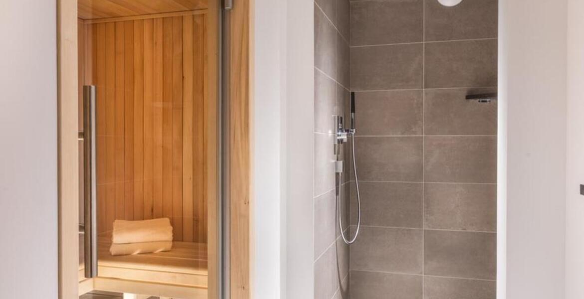 Duplex Penthouse for rent in Meribel