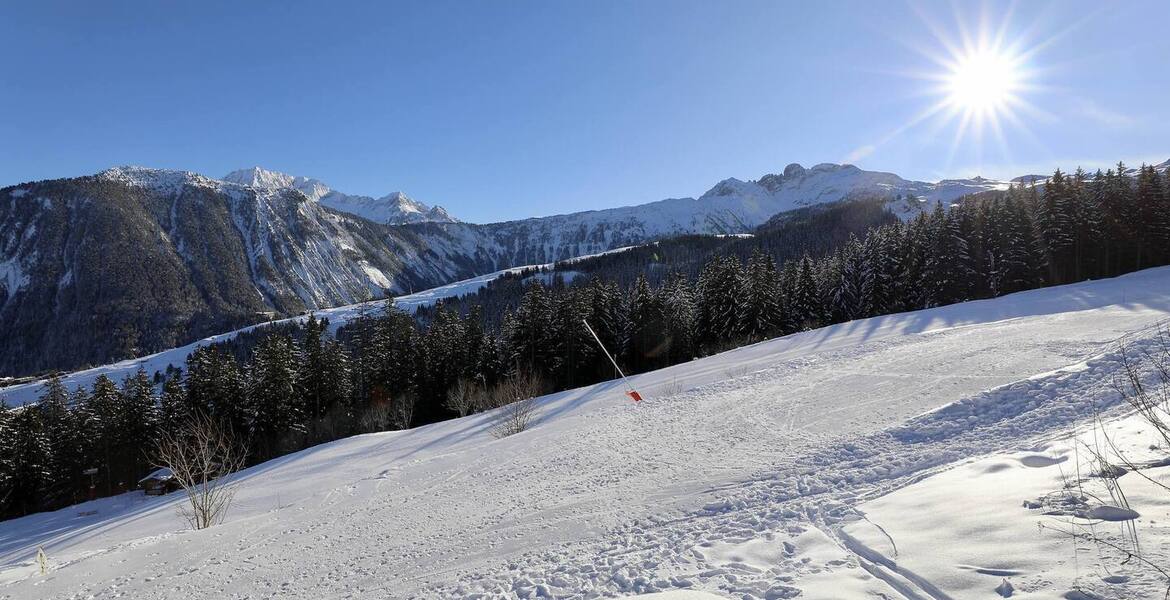 Courchevel 1850 Chalet MAZOT to rent