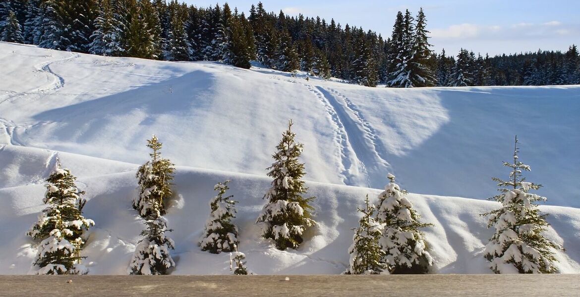 Appartement à louer à Courchevel 1650