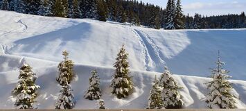 Appartement à louer à Courchevel 1650