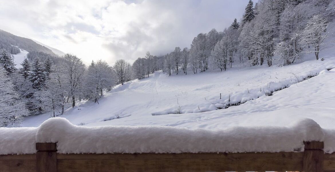 Location de Chalets de Luxe Ski-In/Ski-Out à Méribel 