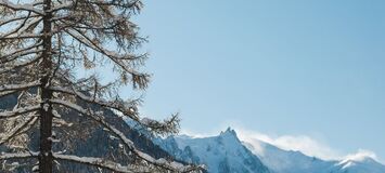 Шале в аренду в Шамони