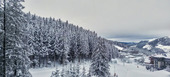 Chalet for rent in Courchevel 1850