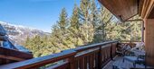 Apartment for rent in Meribel