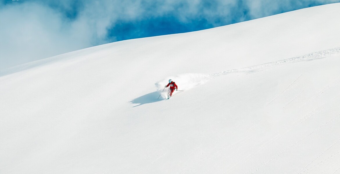 Particuliers Moniteurs de ski à Courchevel