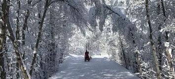 Dog sledding in St Martin de Belleville