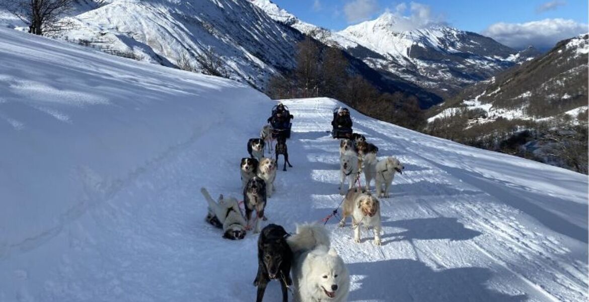 Dog sledding in St Martin de Belleville