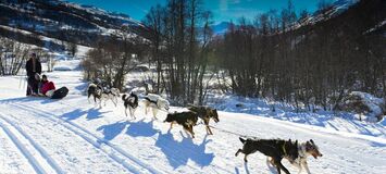 Dog sledding in St Martin de Belleville