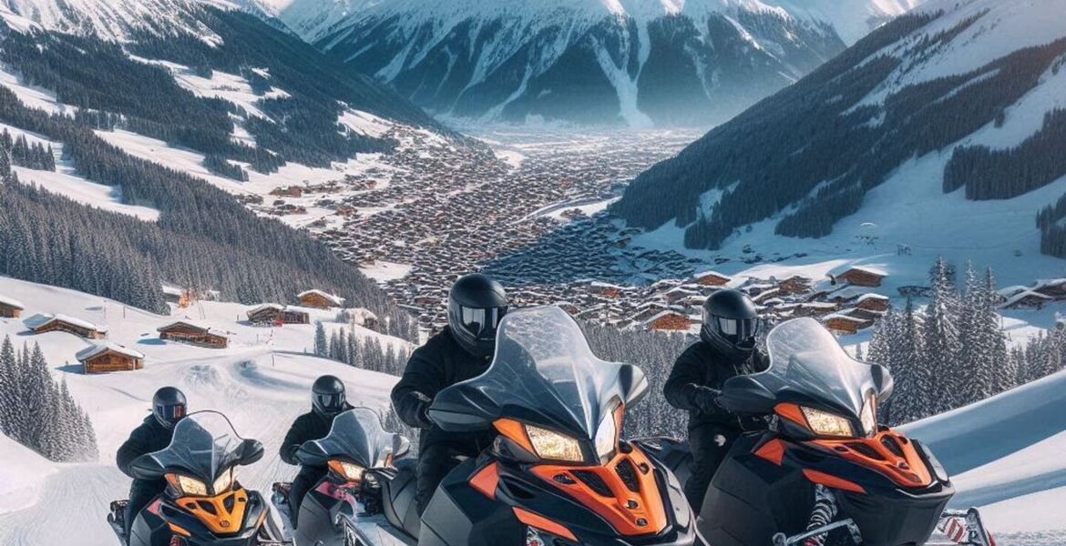 Snowmobile outing / Snowmobile tour