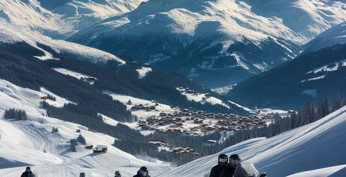Snowmobile outing / Snowmobile tour