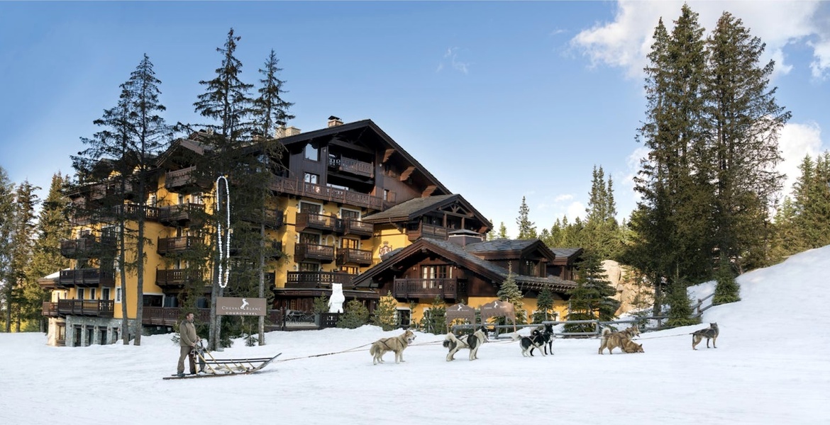 Dog Sledding Trip in Courchevel 1850