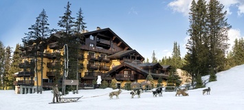 Dog Sledding Trip in Courchevel 1850