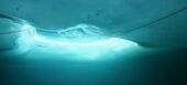 Plongée sous glace