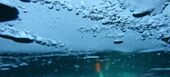 Plongée sous glace