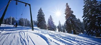 Отель Des Trois Vallées Beaumier