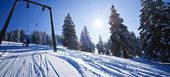 Отель Des Trois Vallées Beaumier