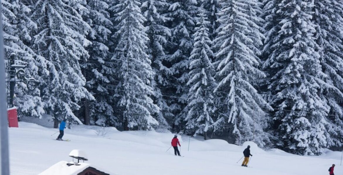 Snow Lodge Hotel